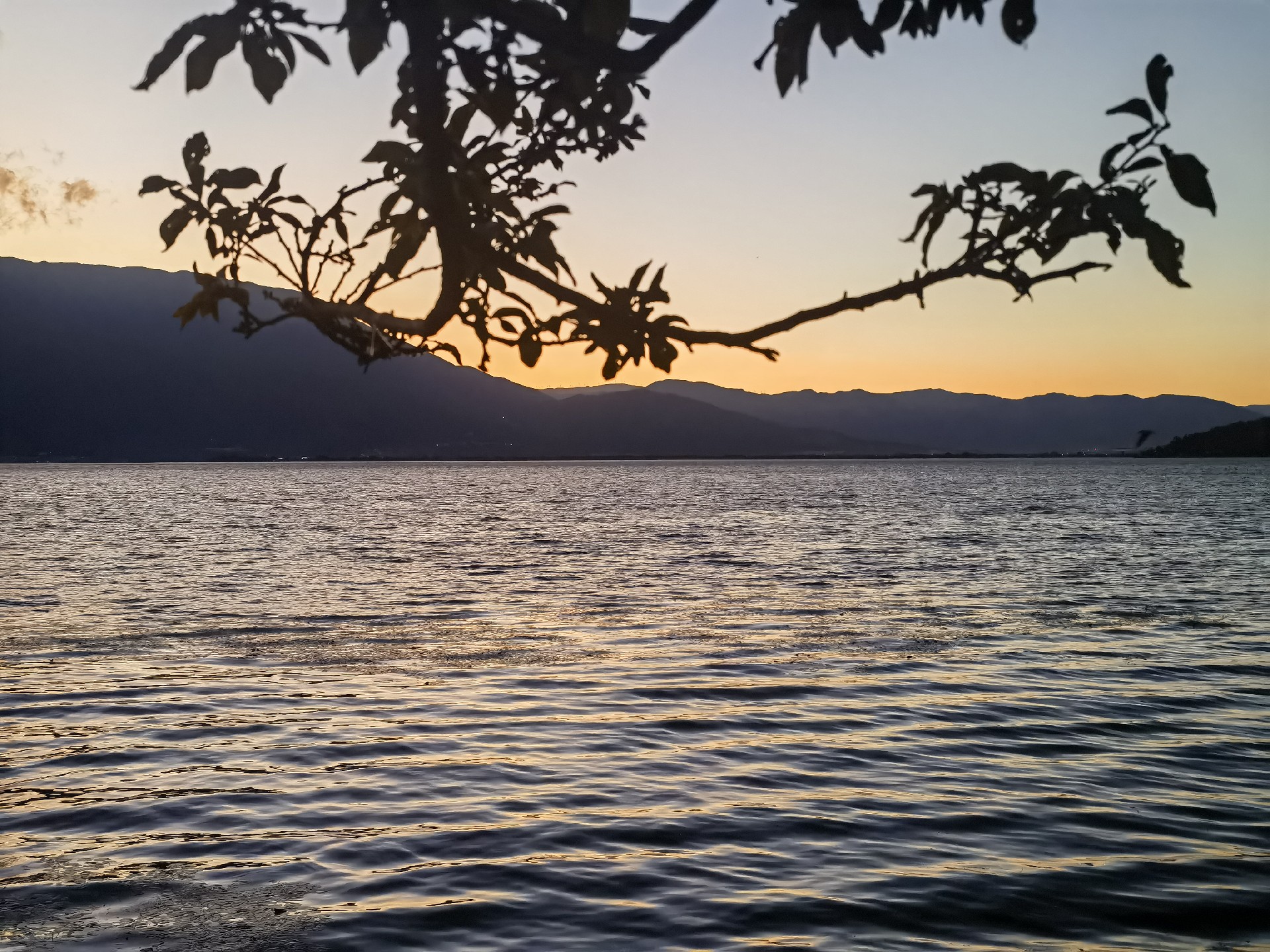 1737099810836025.jpg 微信圖片_20250117153136.jpg