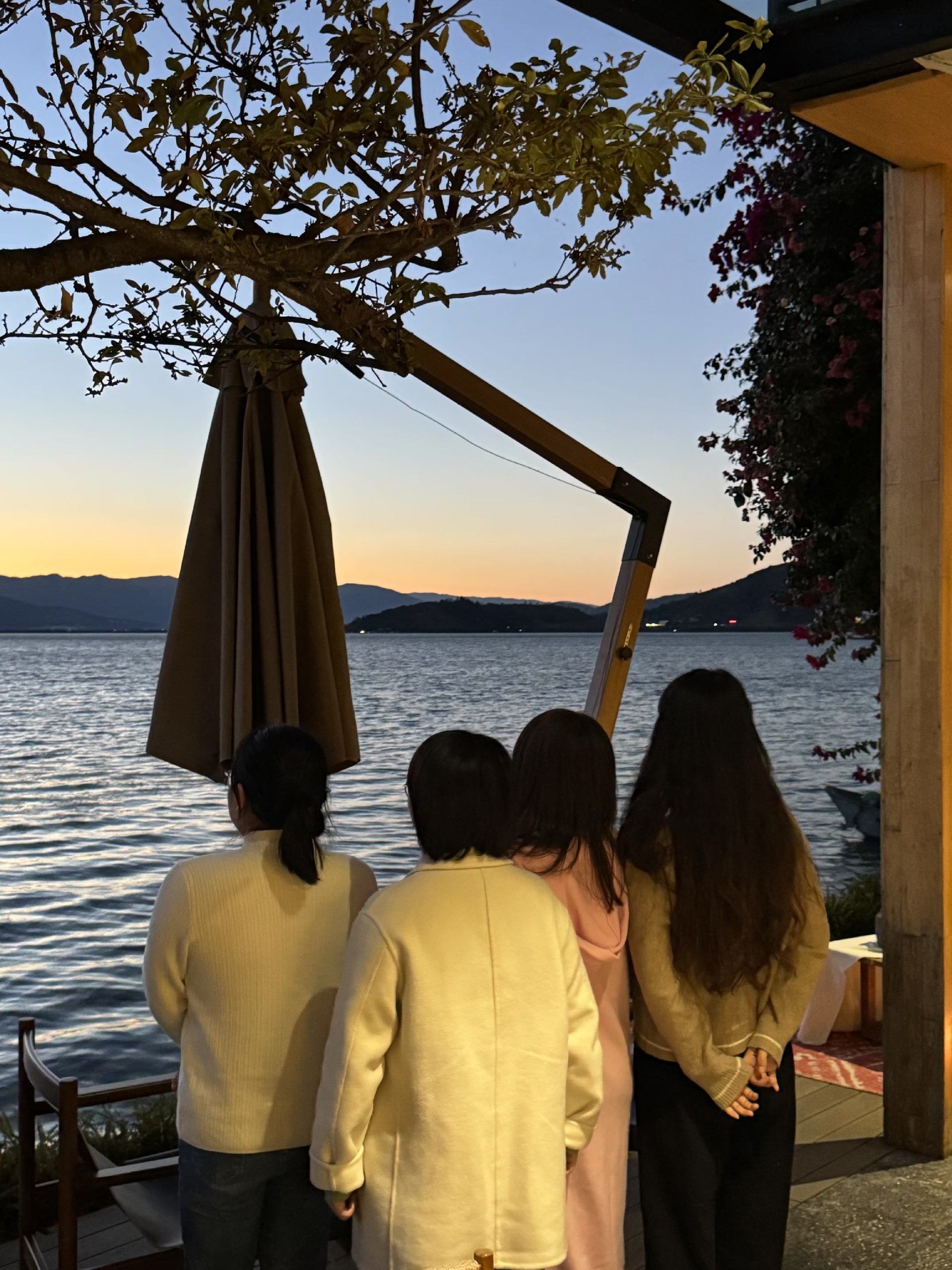 1737100634102181.jpg 傳.jpg