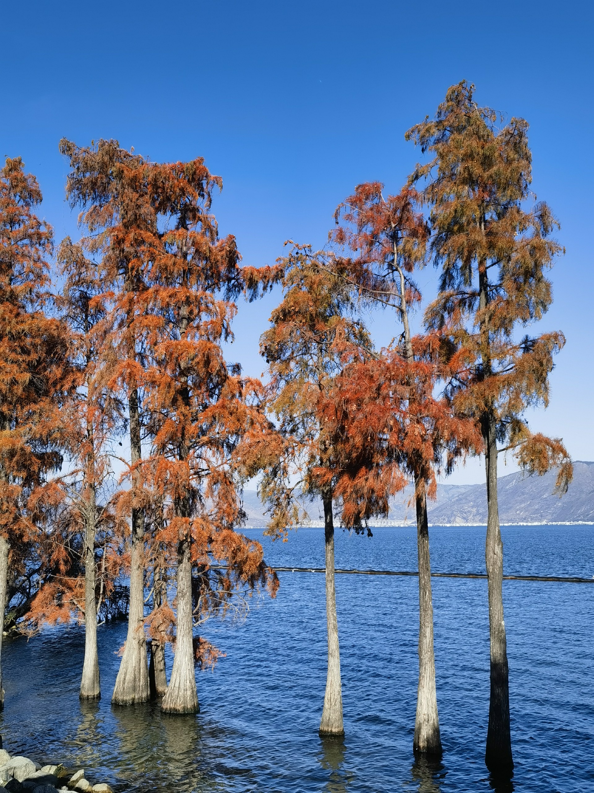 1737101548198885.jpg 微信圖片_20250117153148.jpg